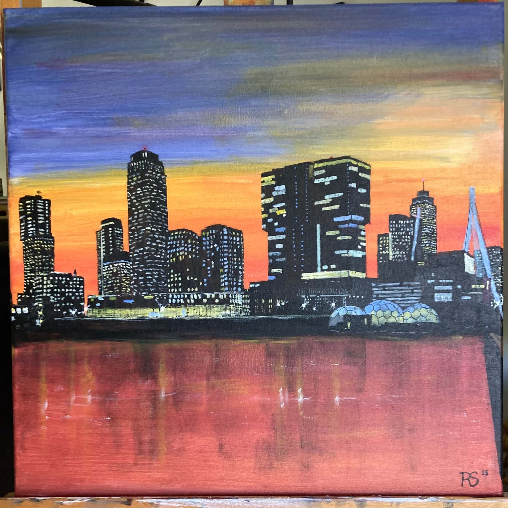 Rotterdamse Skyline