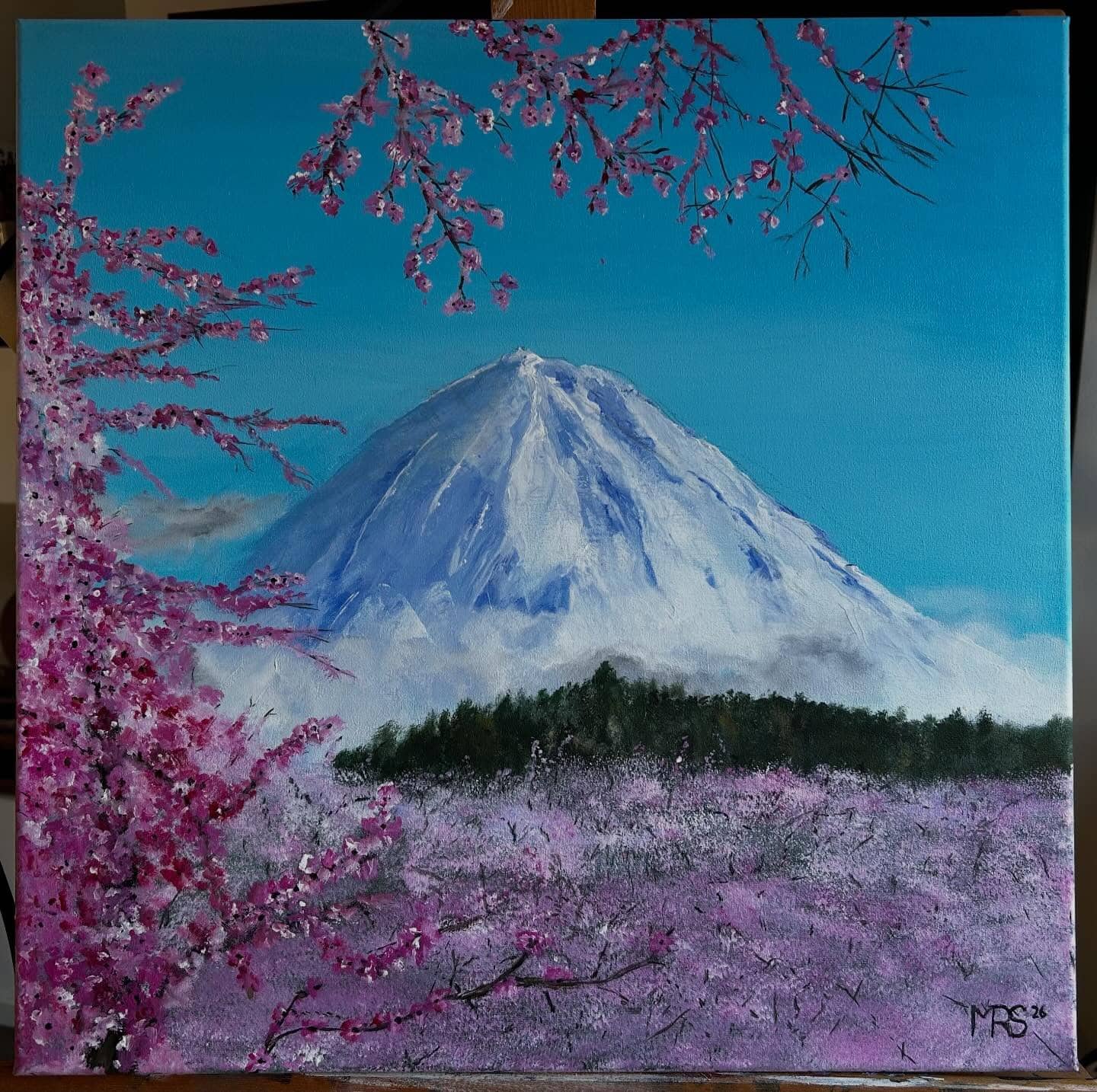 Mount Fuji 50x50 — Mount Fuji (Japan), omlijst door kersenbloesem.