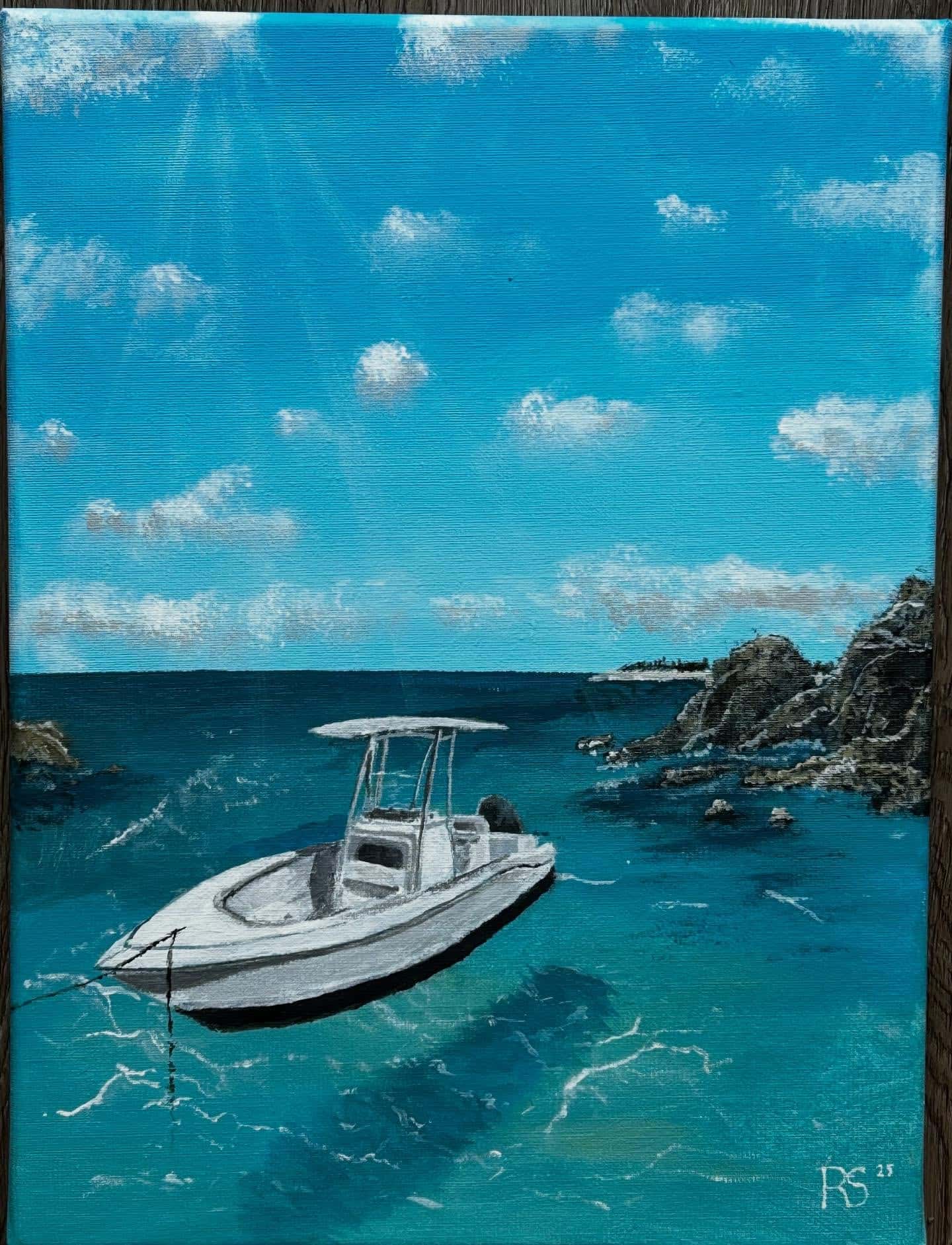Cobia 237